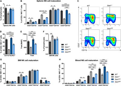 STAT1 Isoforms Differentially Regulate NK Cell Maturation and Anti-tumor Activity